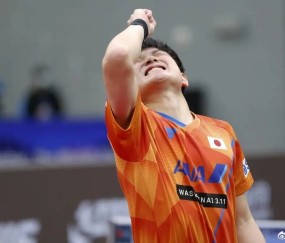 开云官网-4-3绝杀日本张本智和，4-0夺冠，林昀儒背靠背冲冠，流感退赛留遗憾|多哈冠军赛|冠军赛|挑战赛|半决赛|温瑞博_新浪体育_新浪新闻