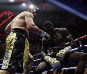 张志磊5回合TKO维尔德 影响力提升前景豁然开朗