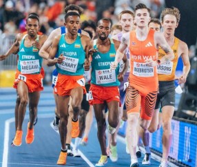 开云下载-2026 田径值得期待 #98跑|世锦赛|赛事|刘俊茜|三级跳|撑杆跳_新浪体育_新浪新闻